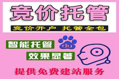 SEM竞价托管：精准定位案例解析